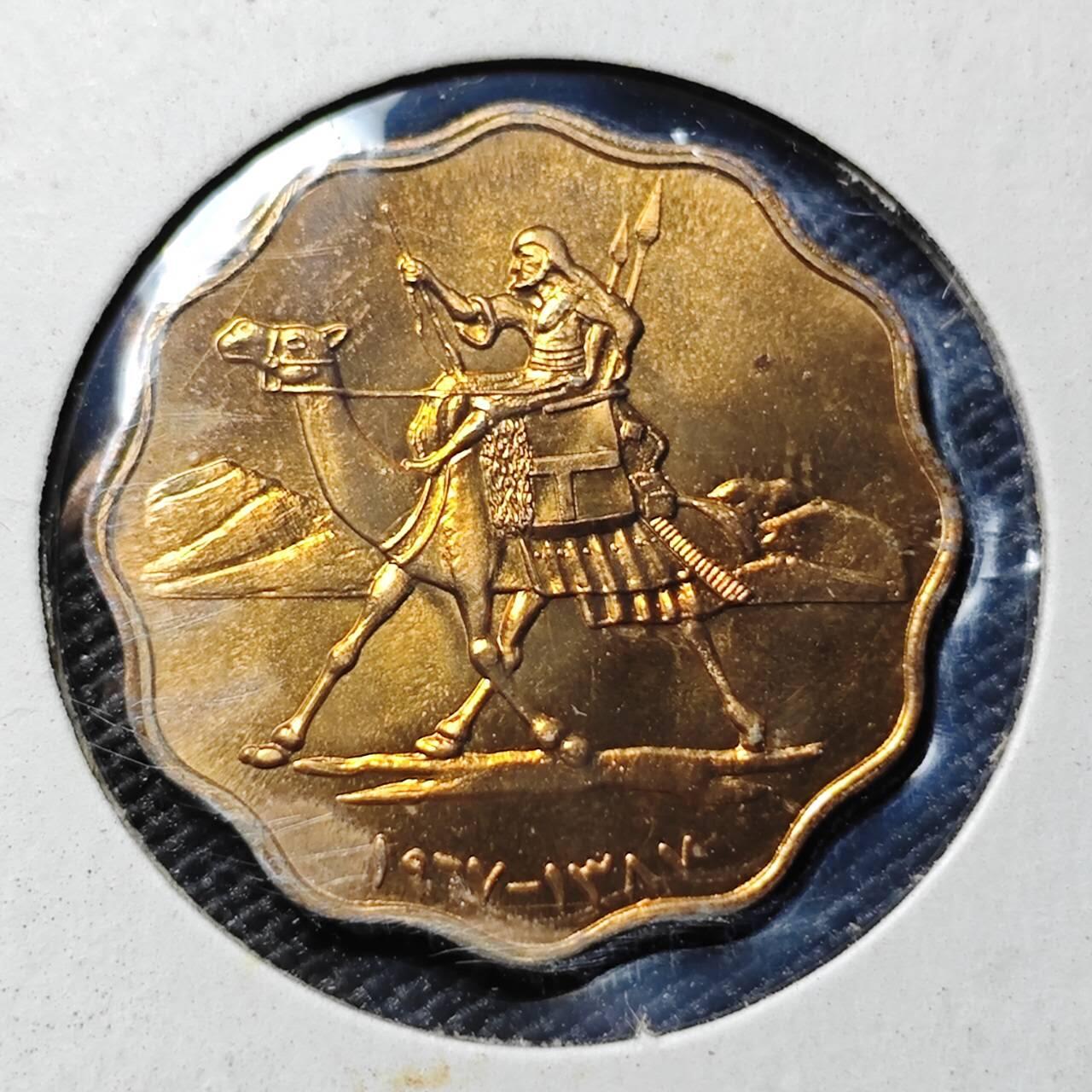 KK钱币收藏小铺   套币专场 2月预留时间 周末发货  苏丹10米利姆铜币 好品