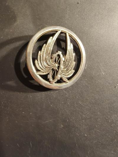 老王徽章第188期 - 法国运输兵银色贝雷帽徽