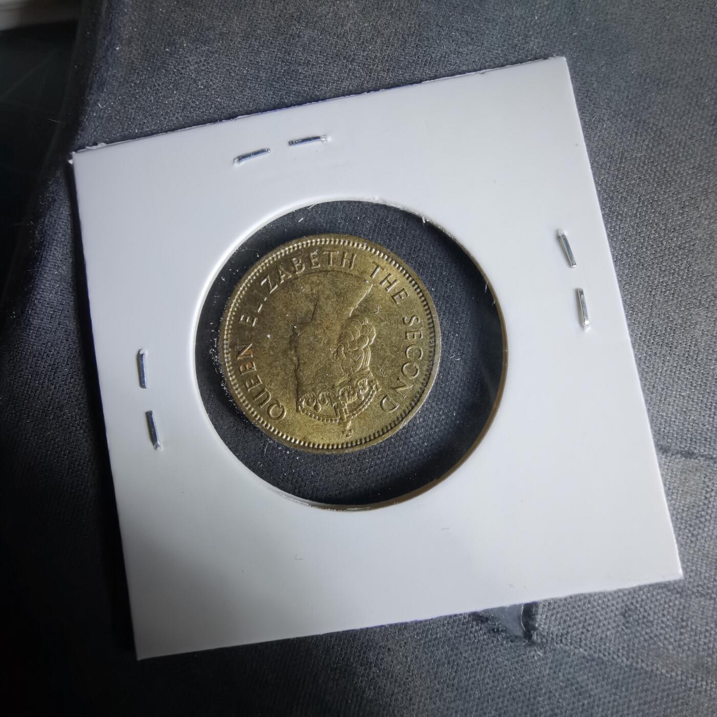 沼泽如烟--第1033场