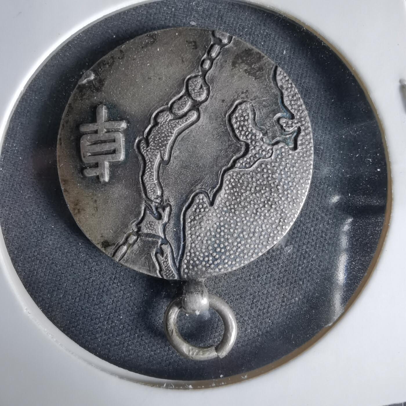 沼泽如烟--第1033场 纪念章