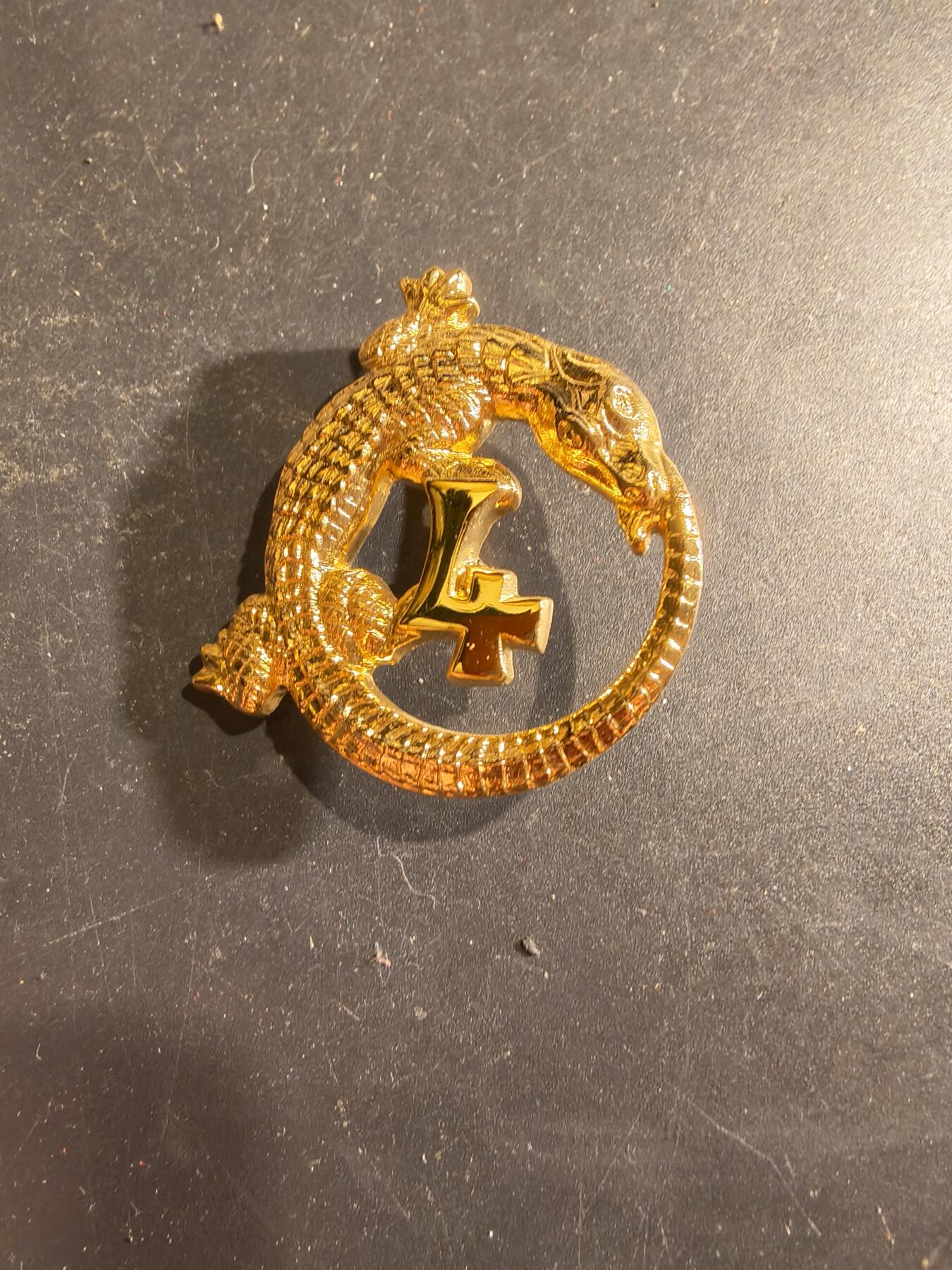 老王徽章第188期 法国第4突尼斯斯帕希轻骑兵团证章