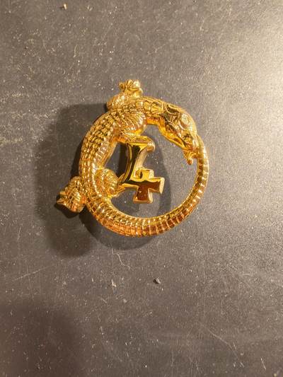 老王徽章第188期 - 法国第4突尼斯斯帕希轻骑兵团证章