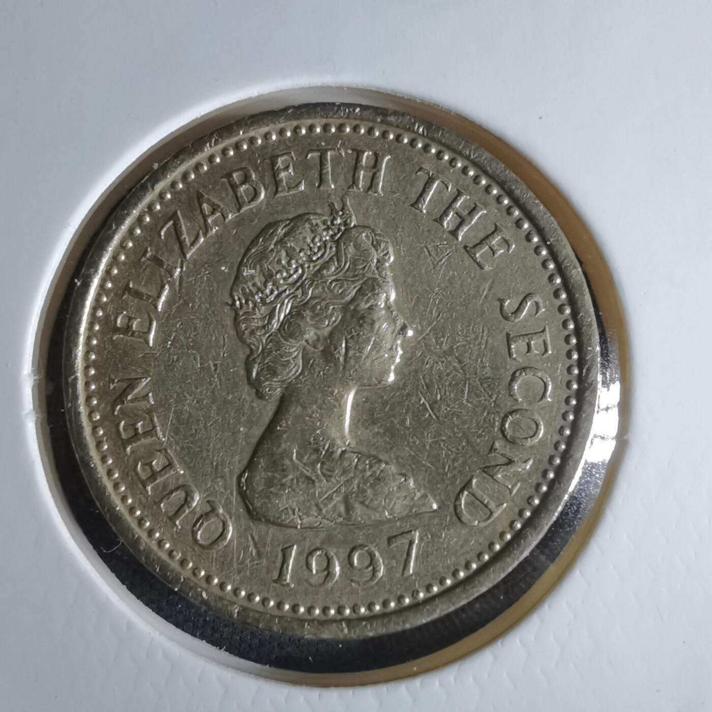 沼泽如烟--第1029场