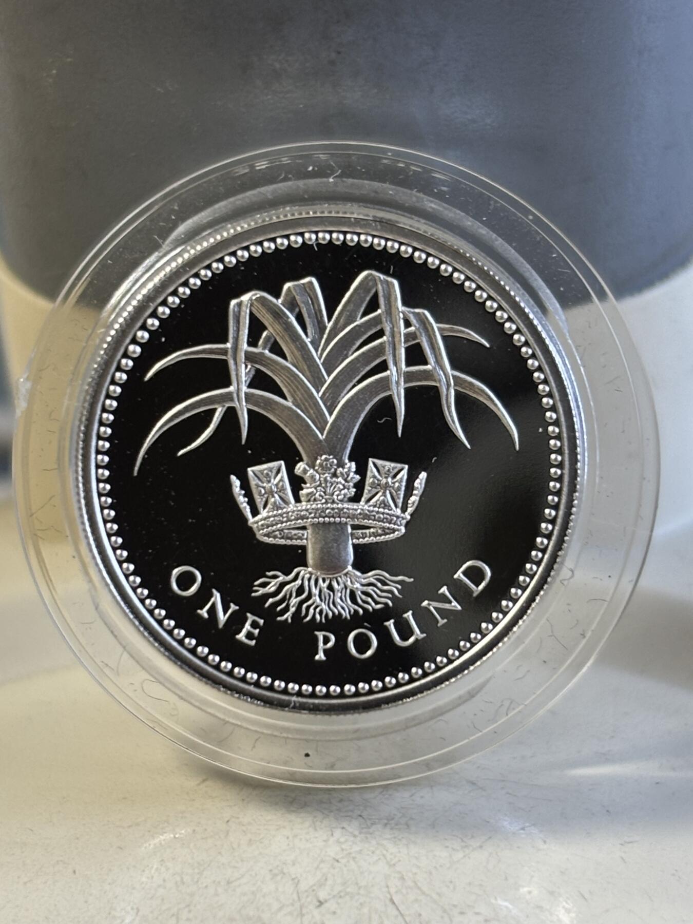 第195期拍卖 英国1984-1987年1英镑精制加厚纪念银币4枚全套，925银，19克*4，发行10000枚