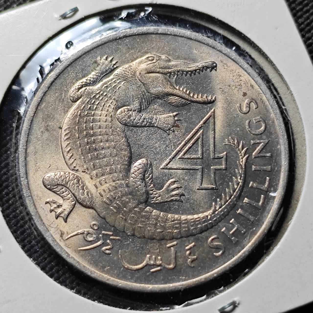 KK钱币收藏小铺   套币专场 2月预留时间 周末发货  1966英属冈比亚4先令 鳄鱼