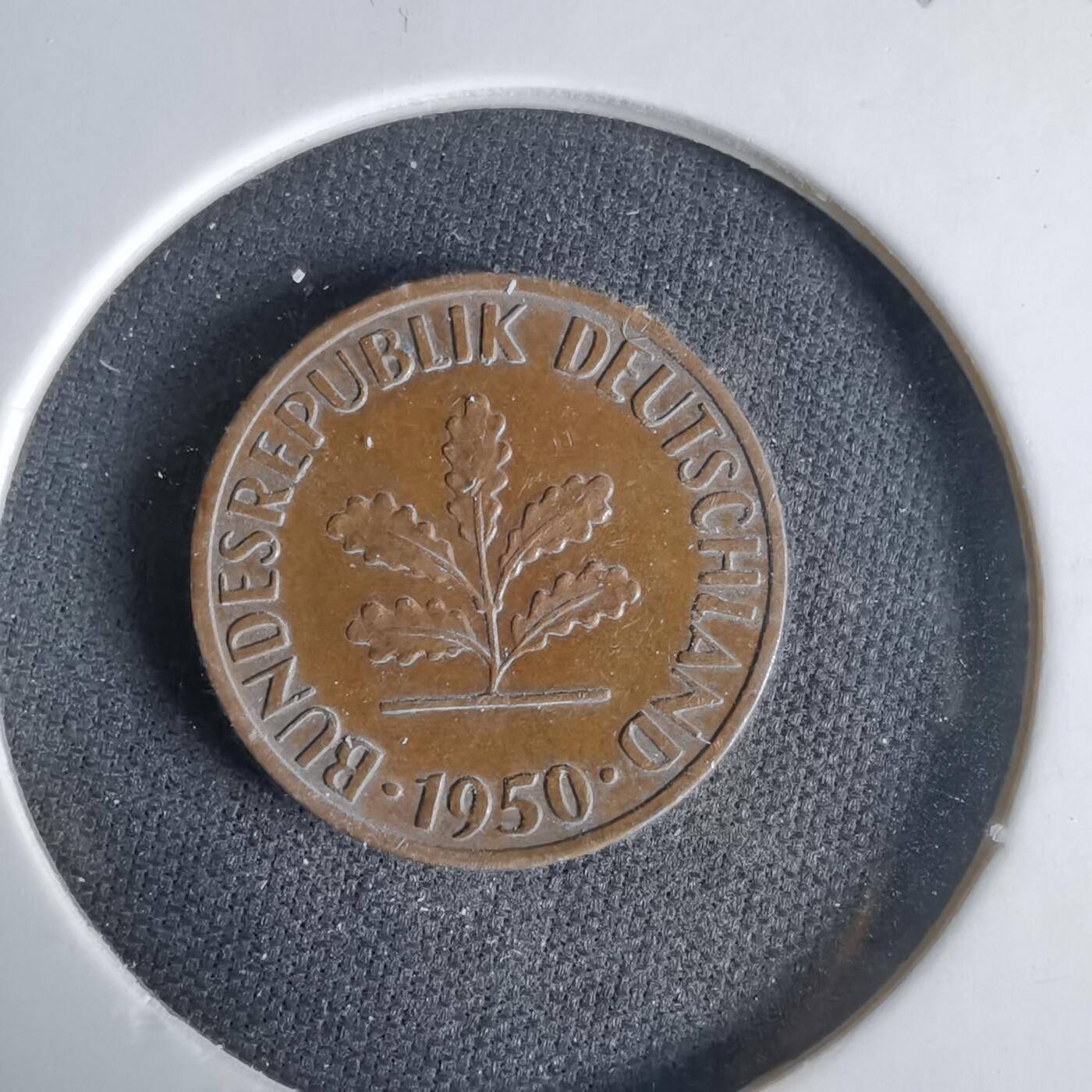 沼泽如烟--第1033场