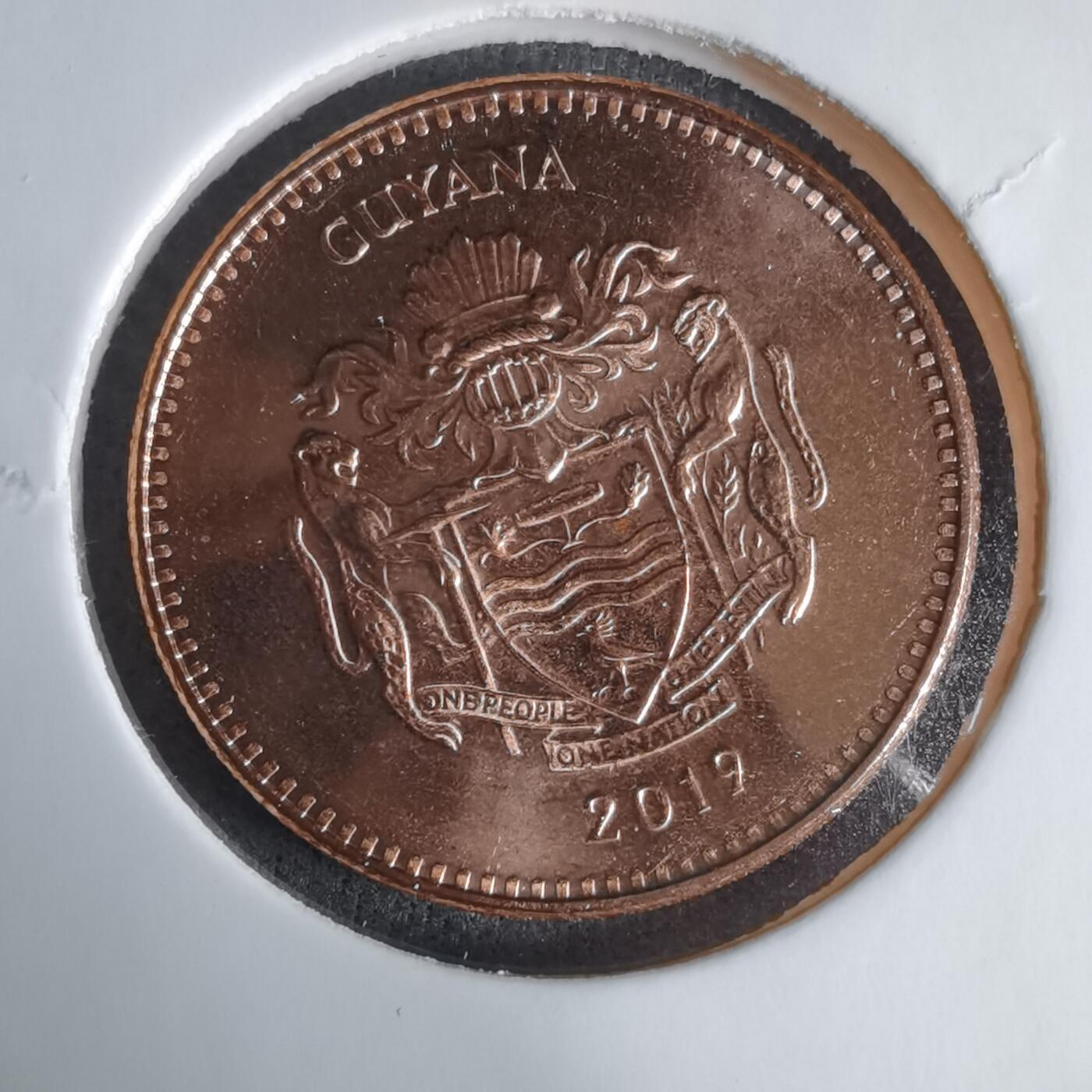 沼泽如烟--第1029场 圭亚那2019年5元