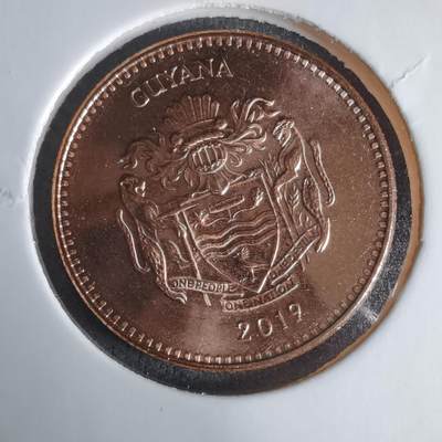 沼泽如烟--第1029场 - 圭亚那2019年5元