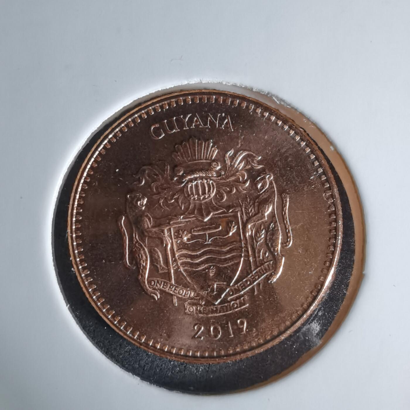 沼泽如烟--第1029场 圭亚那2019年五元