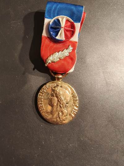 老王徽章第188期 - 法国金级劳动荣誉奖章   2024年实发版    金棕榈勋饰