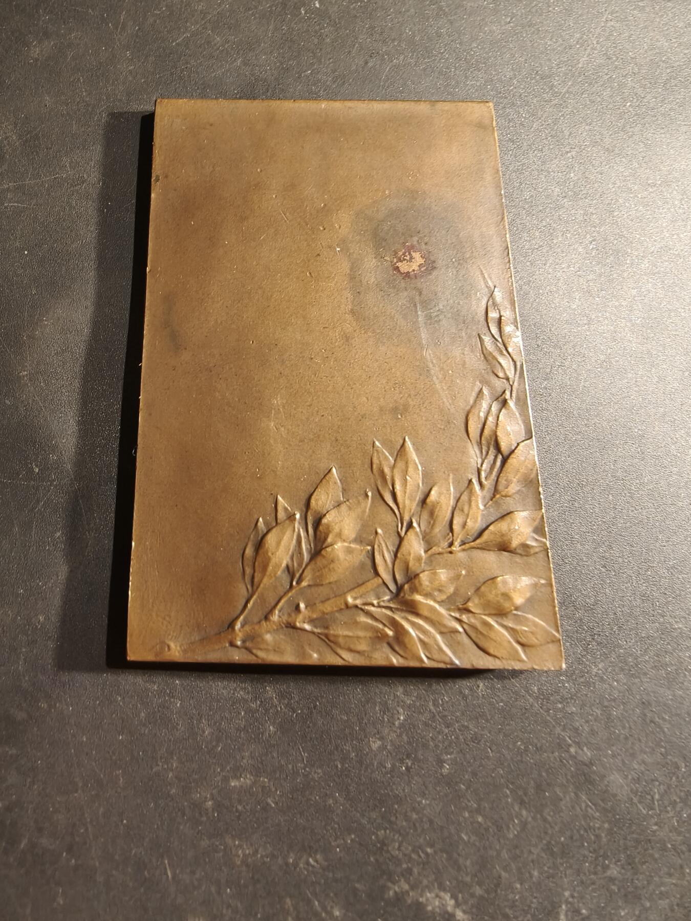 老王徽章第188期 法国玛丽安娜方形大铜章   大师Vernier作品    尺寸74×45mm     重量105.8g