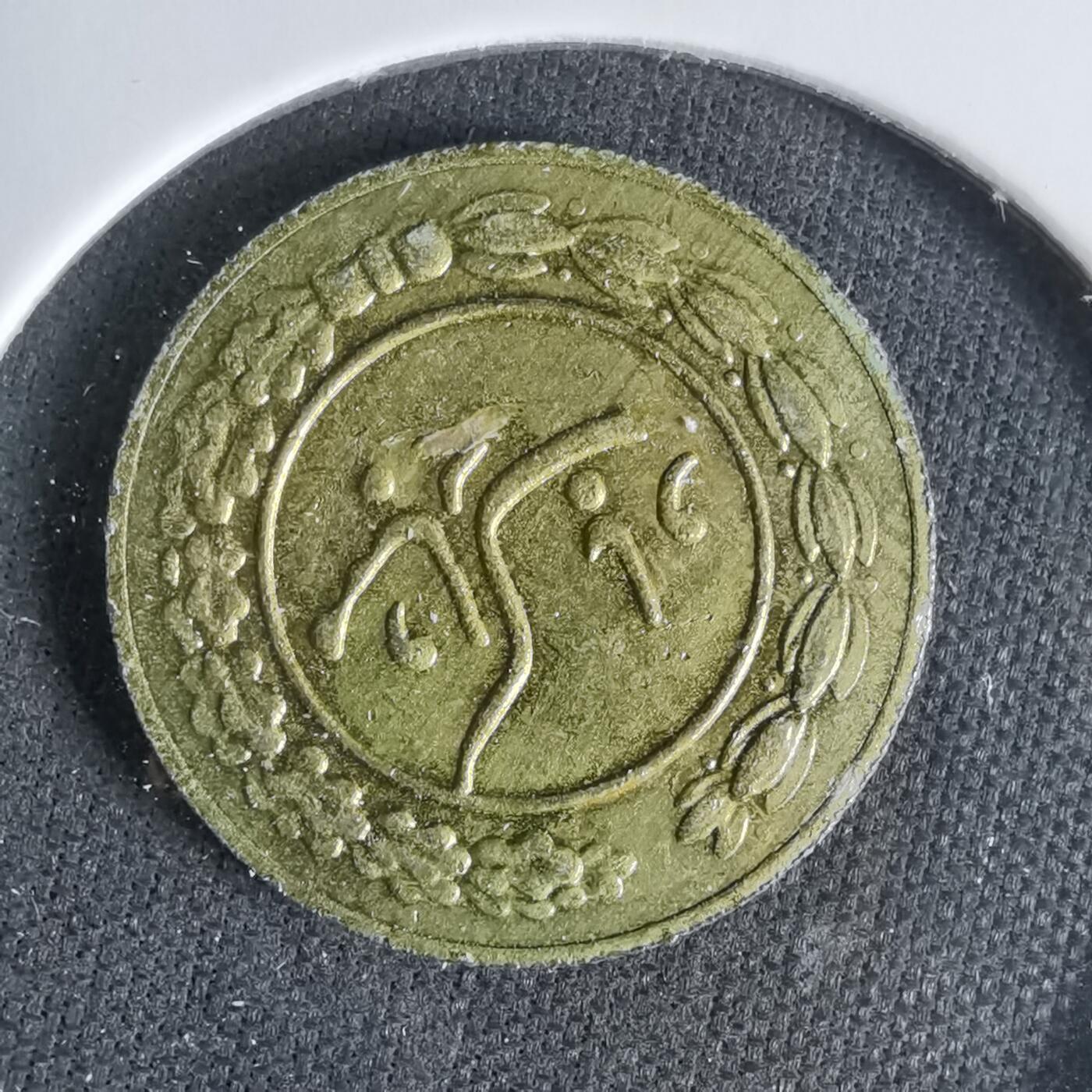 沼泽如烟--第1033场 伊朗代币