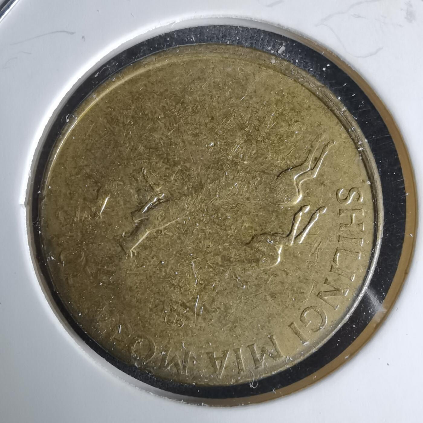 沼泽如烟--第1029场 坦桑尼亚弱打