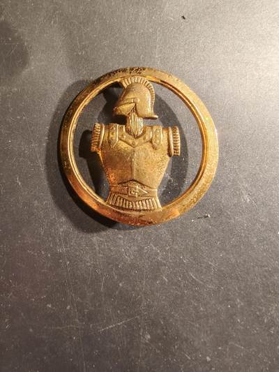 老王徽章第188期 - 法国工兵金色贝雷帽徽