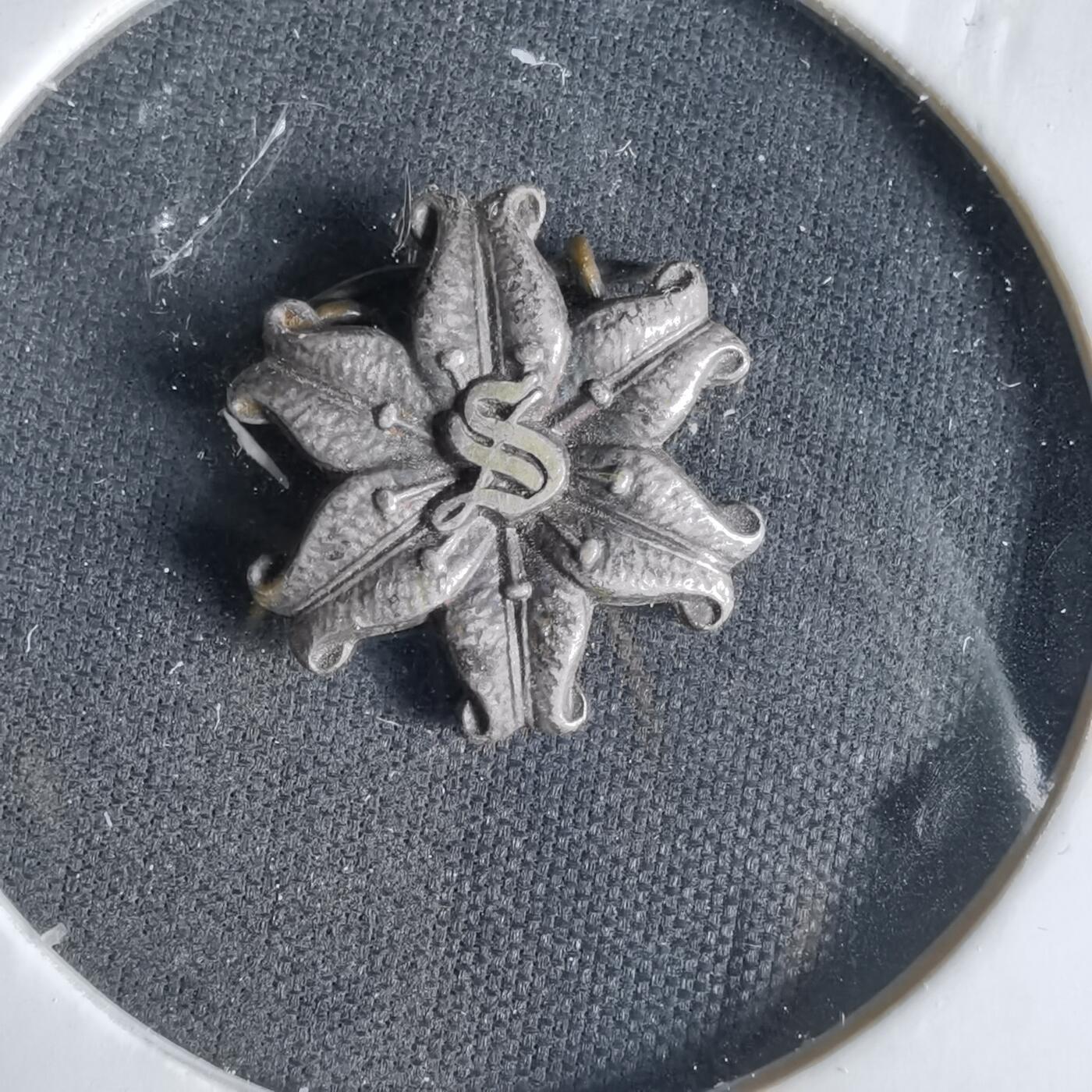 沼泽如烟--第1033场 胸章