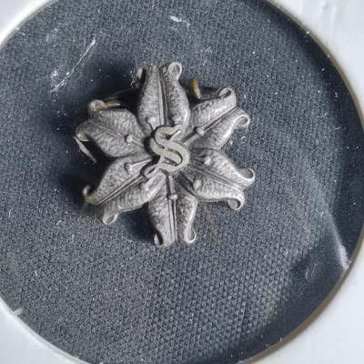 沼泽如烟--第1033场 - 胸章