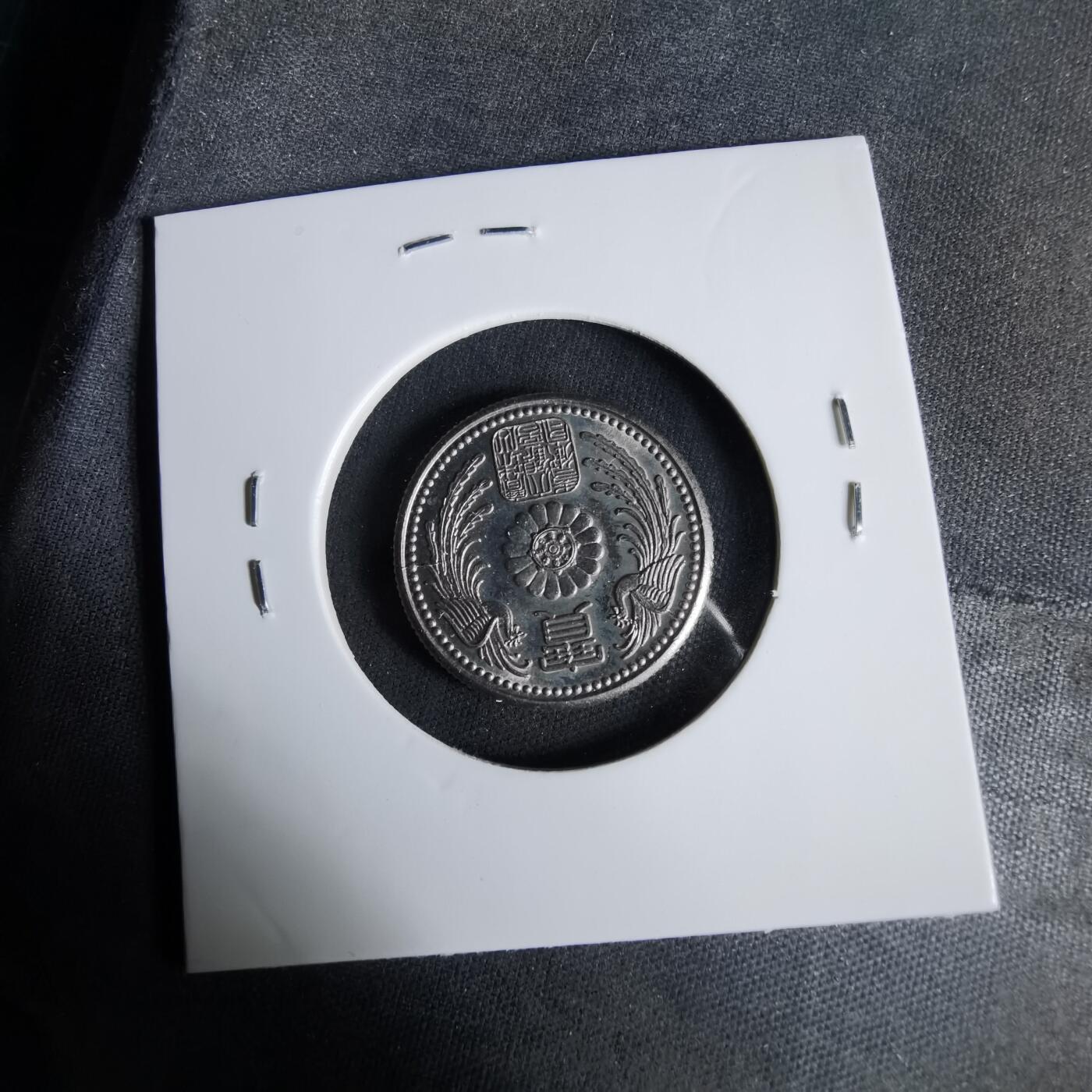 沼泽如烟--第1033场