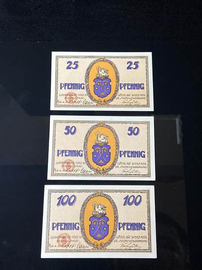 2026年第三十七场(总第二百零六场）德紧纸币特拍场(佣金3%，最低1元) - 德紧纸币–德国勃兰登堡州卢肯瓦尔德市（Stadt Luckenwalde）25、50、100芬妮三枚套票