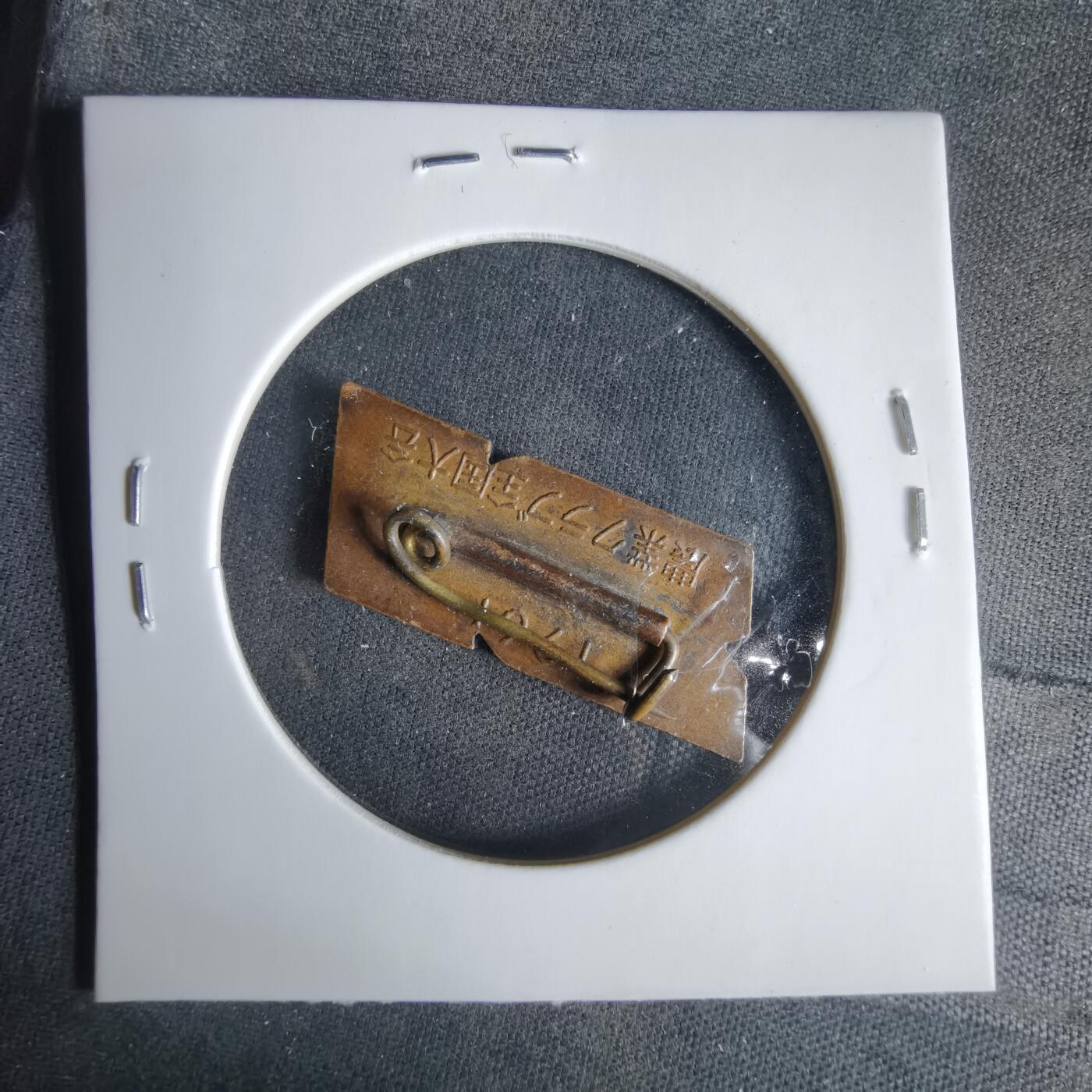 沼泽如烟--第1033场 胸章