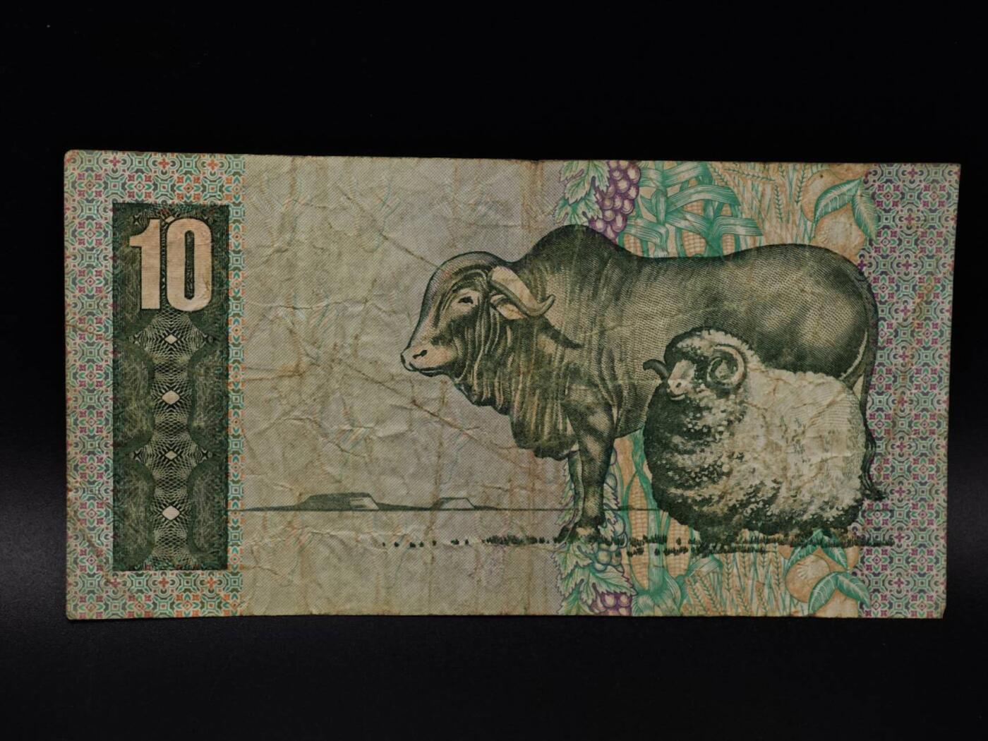  【淘币小摊】限时拍第八百八十二拍   纸币场    每周一统一发货 南非10兰德纸币【有折】