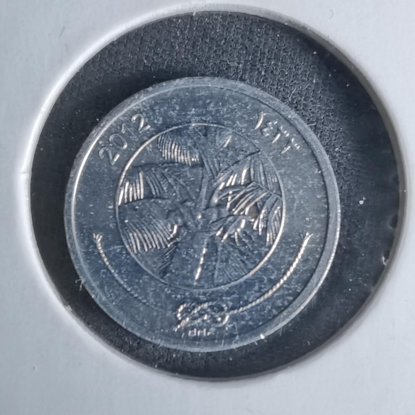 沼泽如烟--第1029场