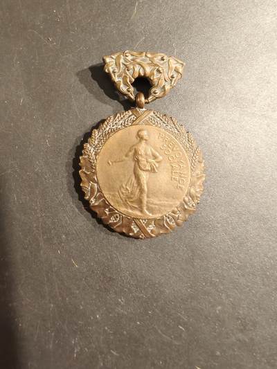 老王徽章第188期 - 法国铜级卫生部互助会奖章   无绶带