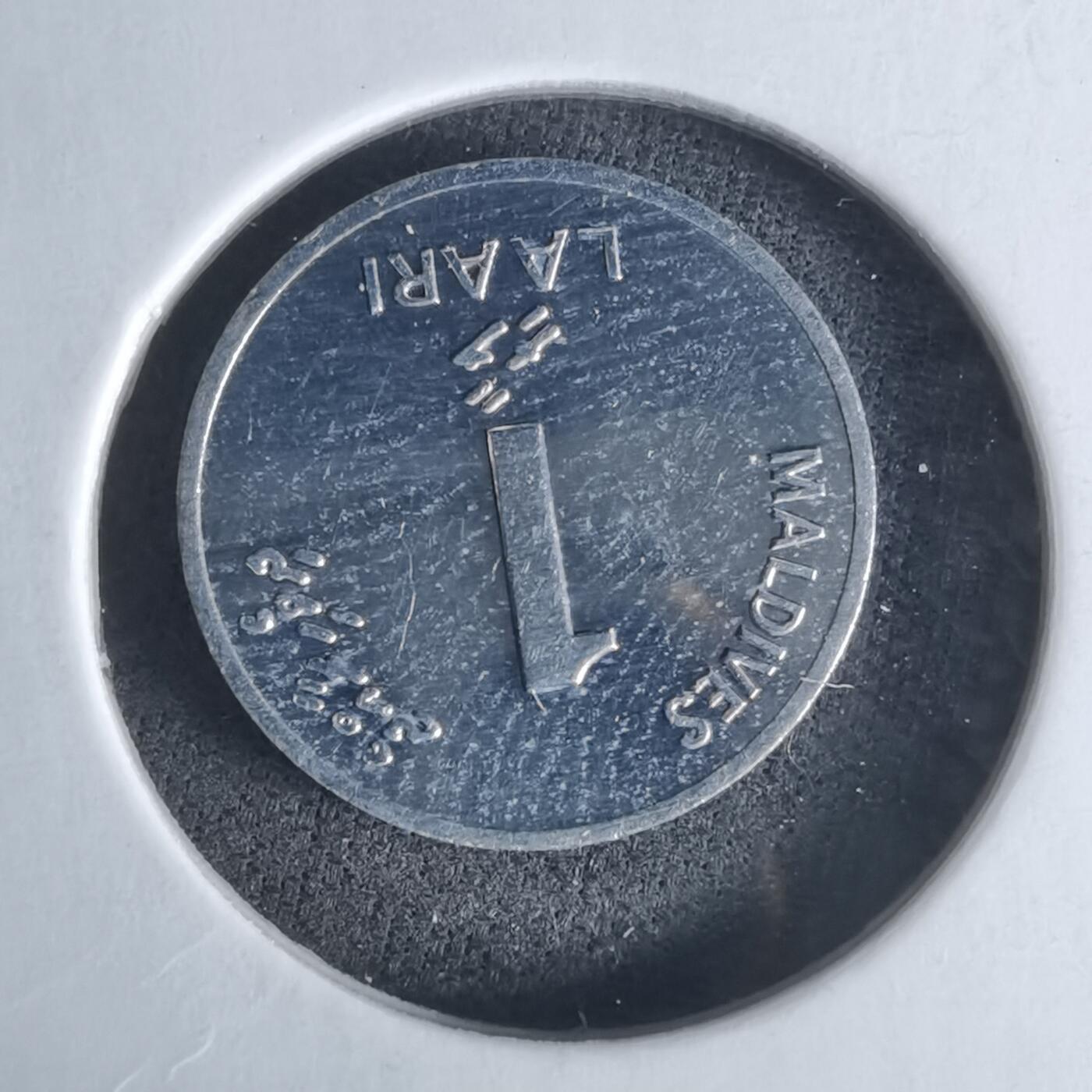 沼泽如烟--第1029场