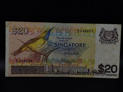 【淘币小摊】限时拍第八百八十二拍   纸币场    每周一统一发货 - 新加坡鸟版20元纸币【有折】