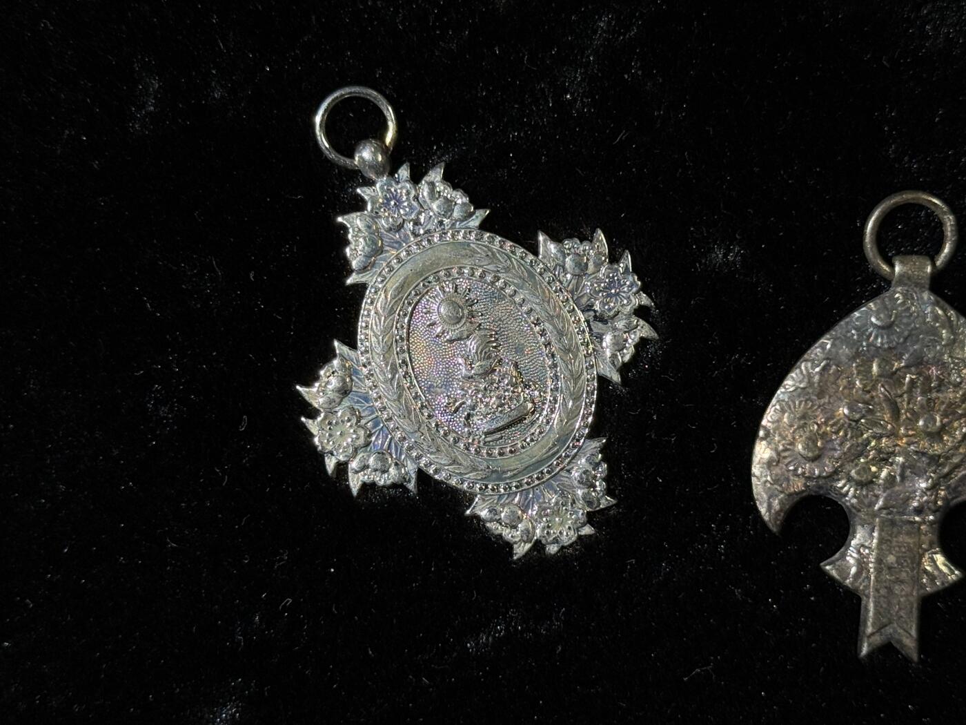 戎马世界章牌大赏，第113期