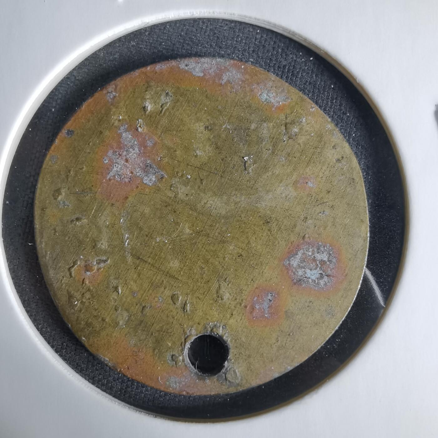 沼泽如烟--第1033场 幼稚园纪念章