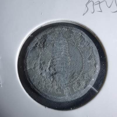 沼泽如烟--第1033场 - 私铸