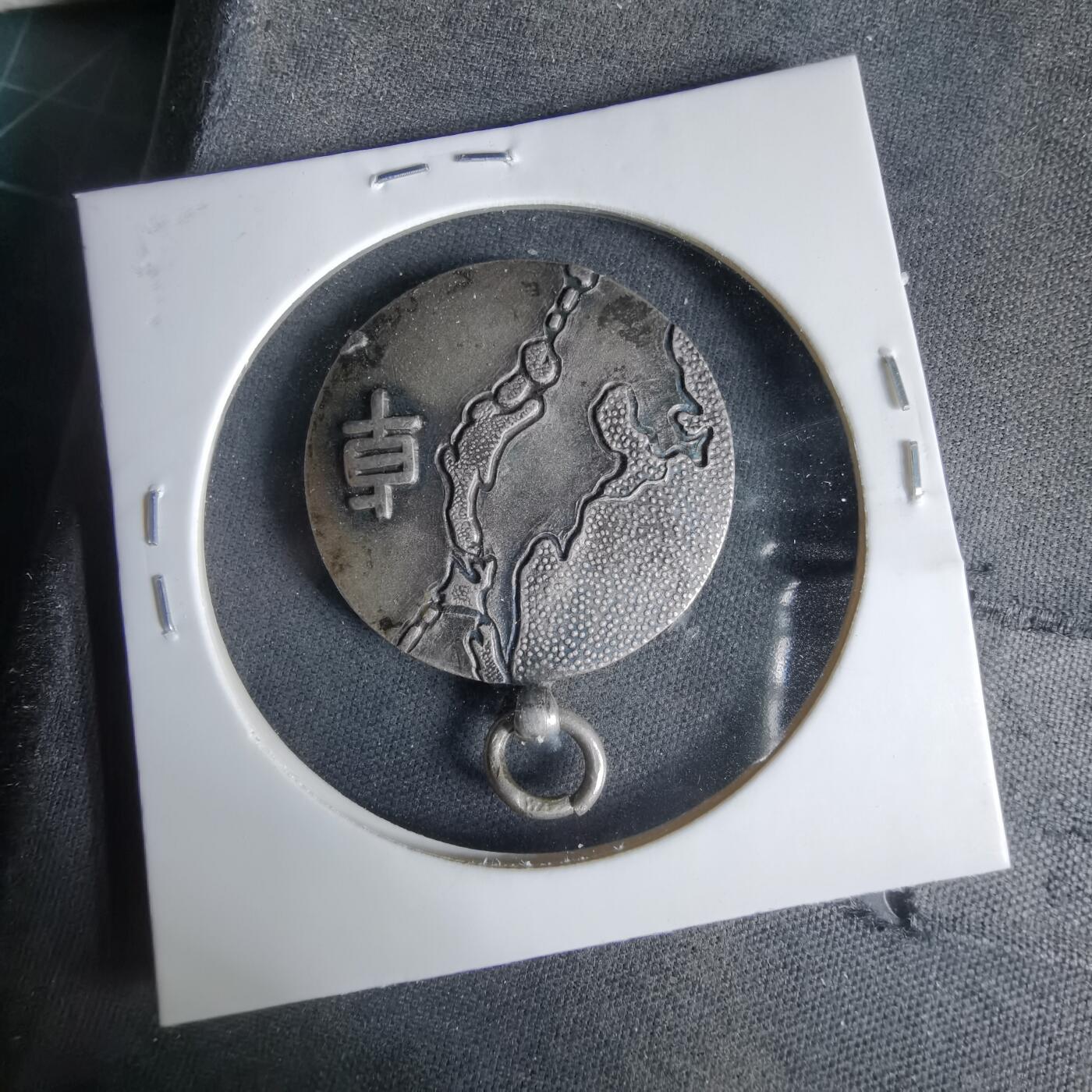 沼泽如烟--第1033场 纪念章