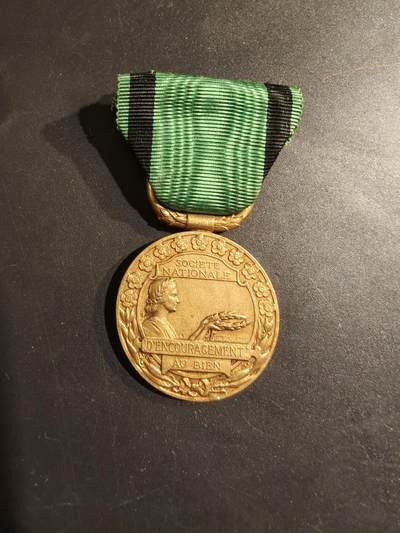 老王徽章第188期 - 法国金级国家鼓励美德协会奖章