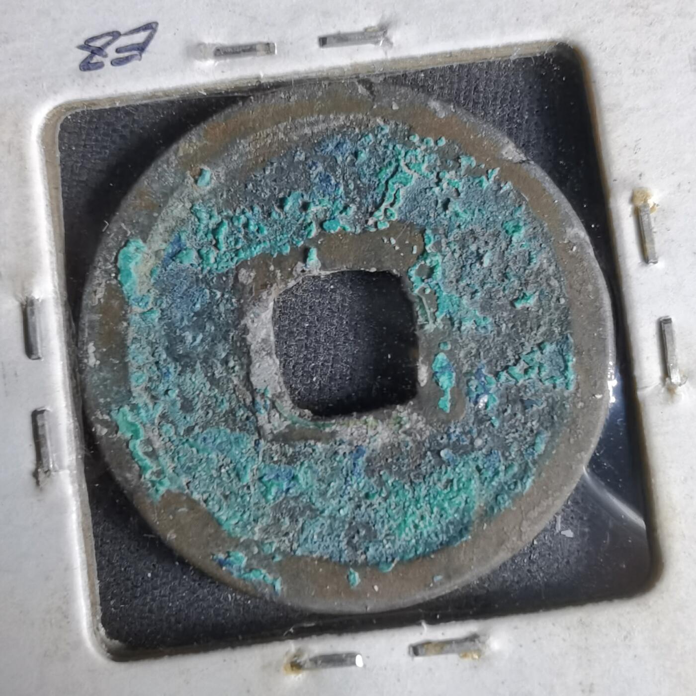 沼泽如烟--第1033场