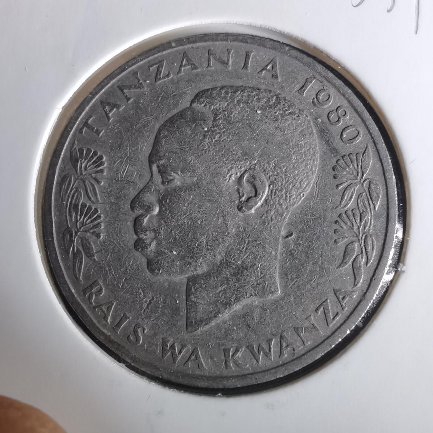 沼泽如烟--第1033场