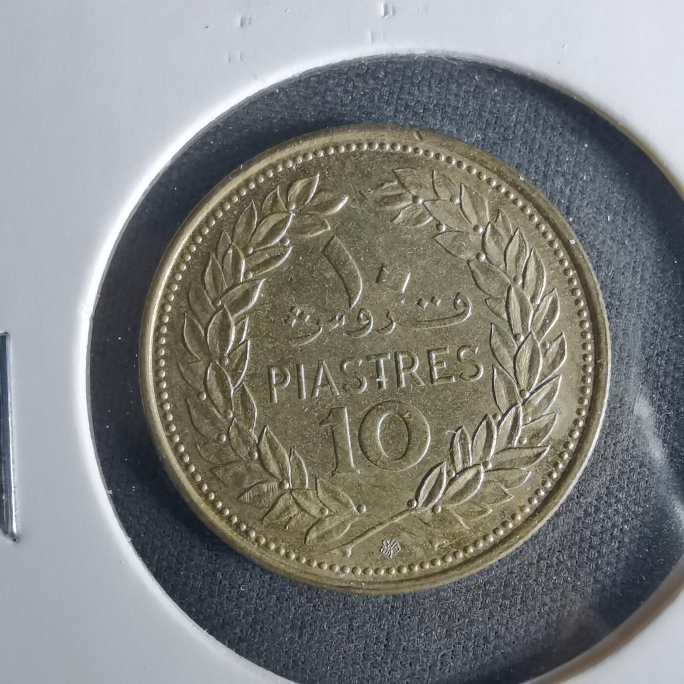 沼泽如烟--第1033场