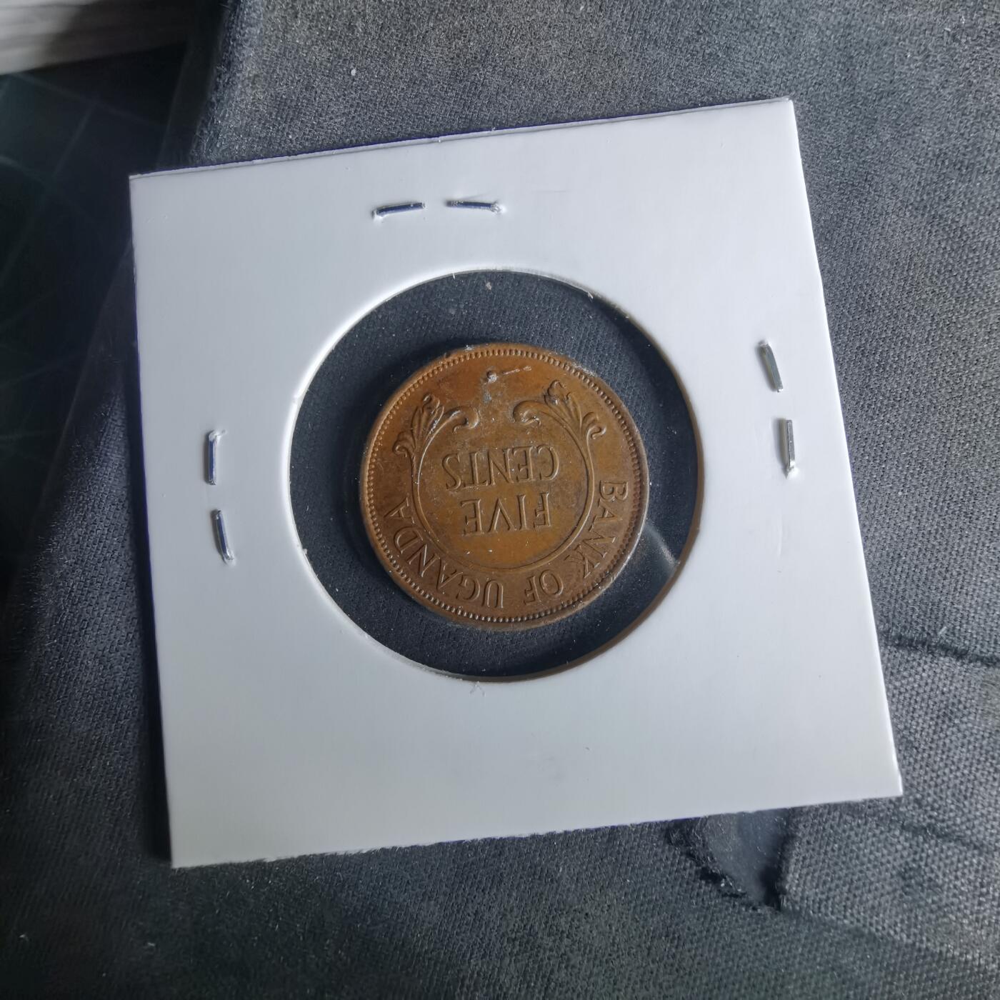 沼泽如烟--第1033场