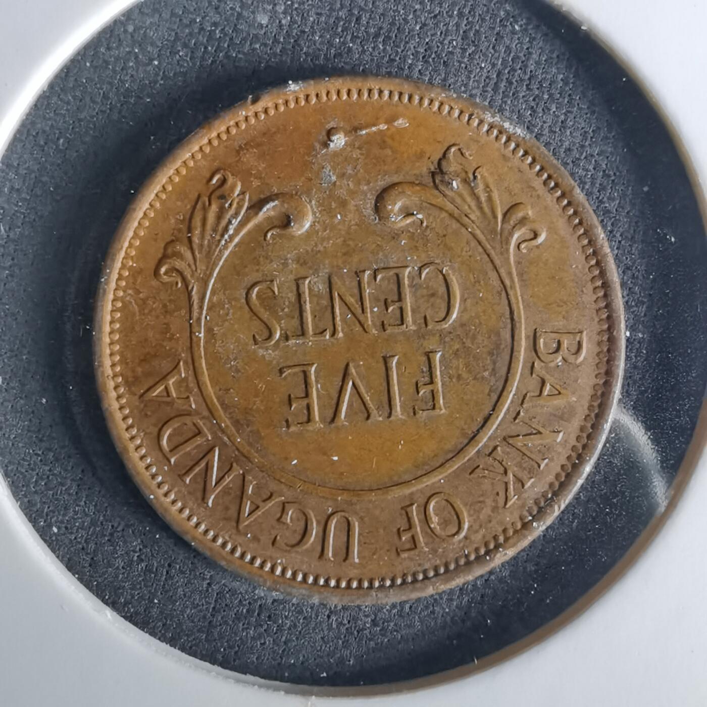 沼泽如烟--第1033场