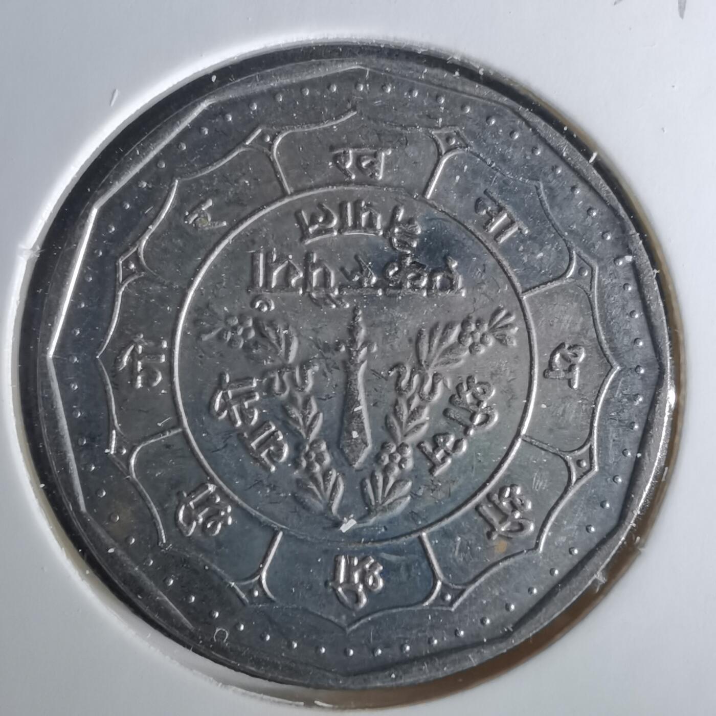 沼泽如烟--第1033场