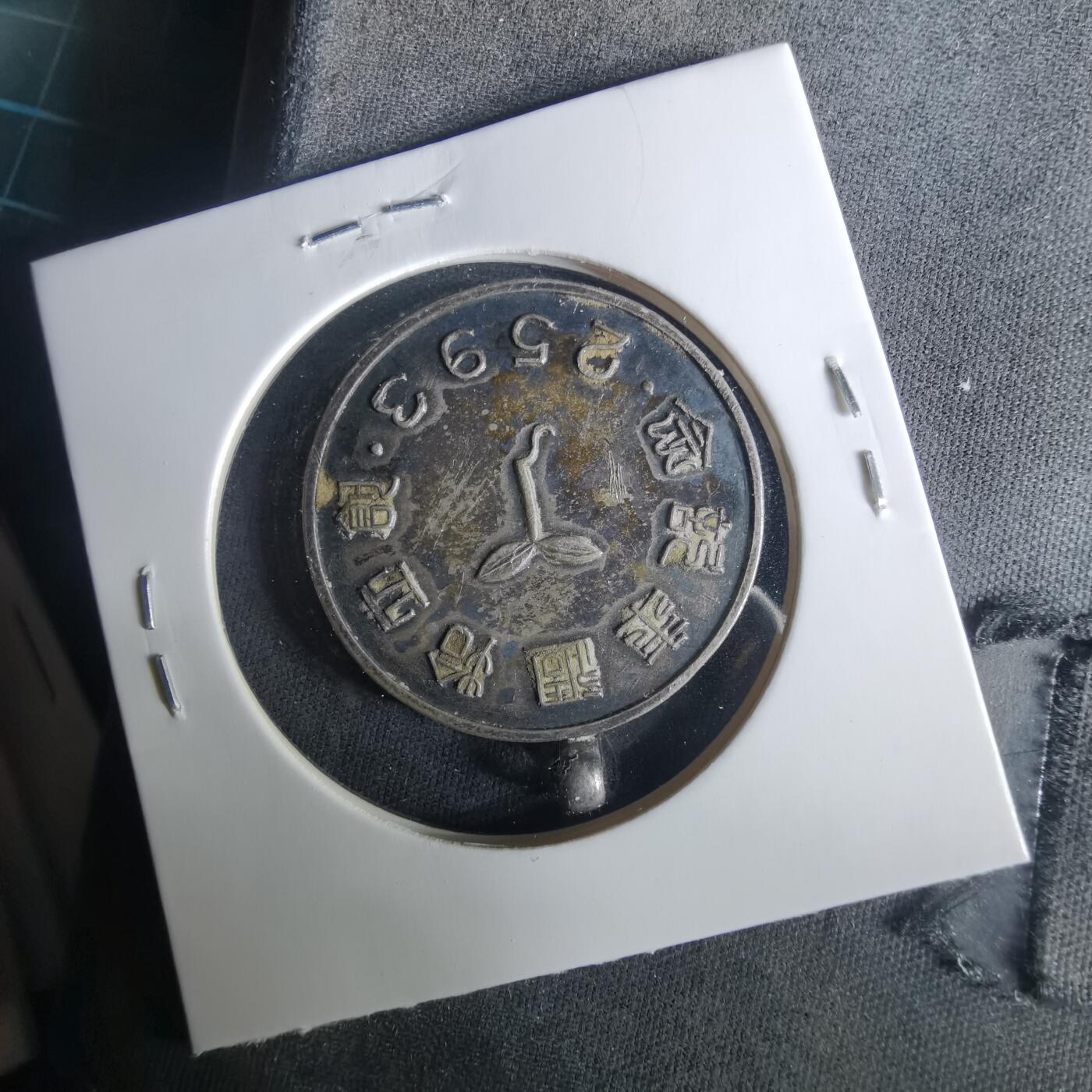 沼泽如烟--第1033场 纪念章