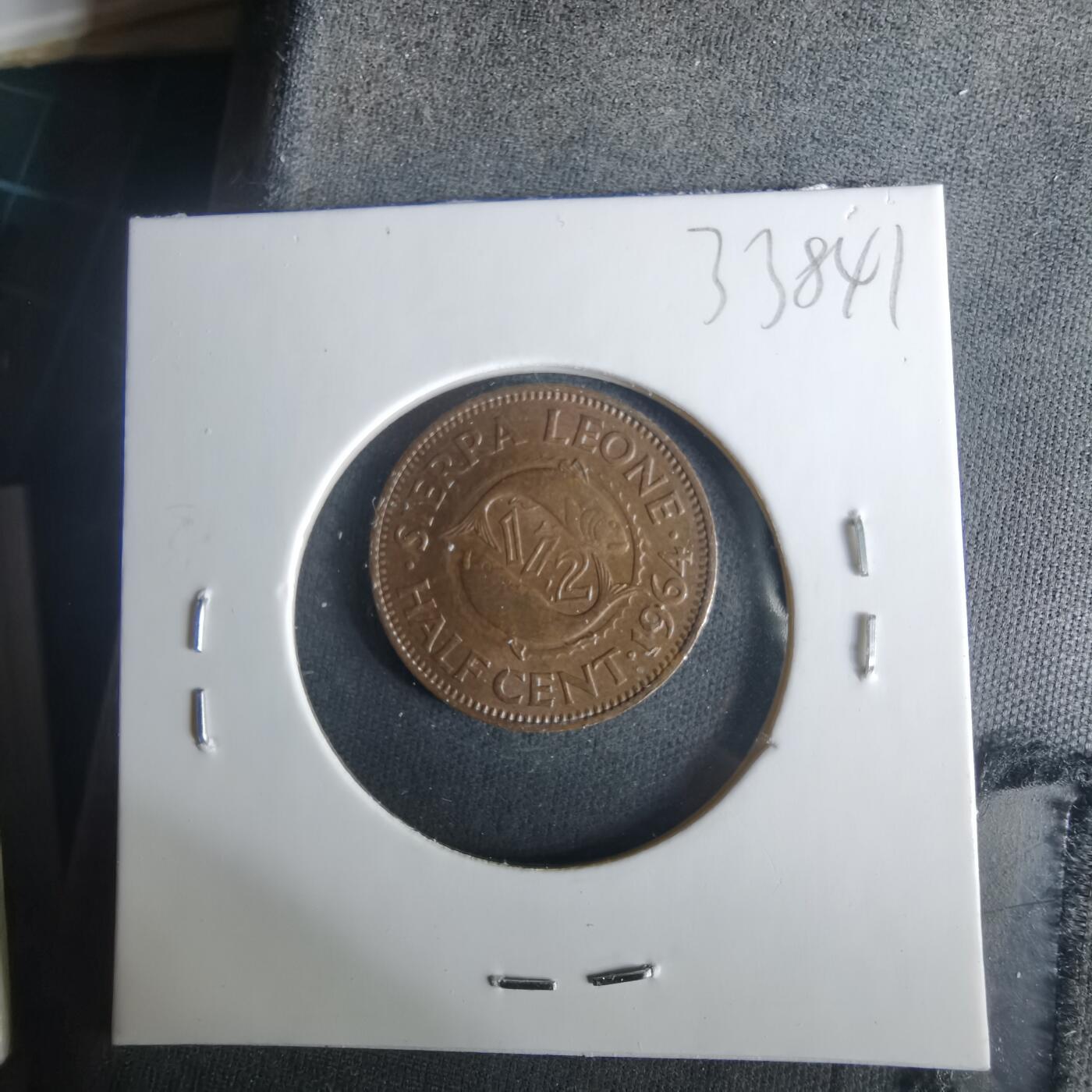 沼泽如烟--第1033场