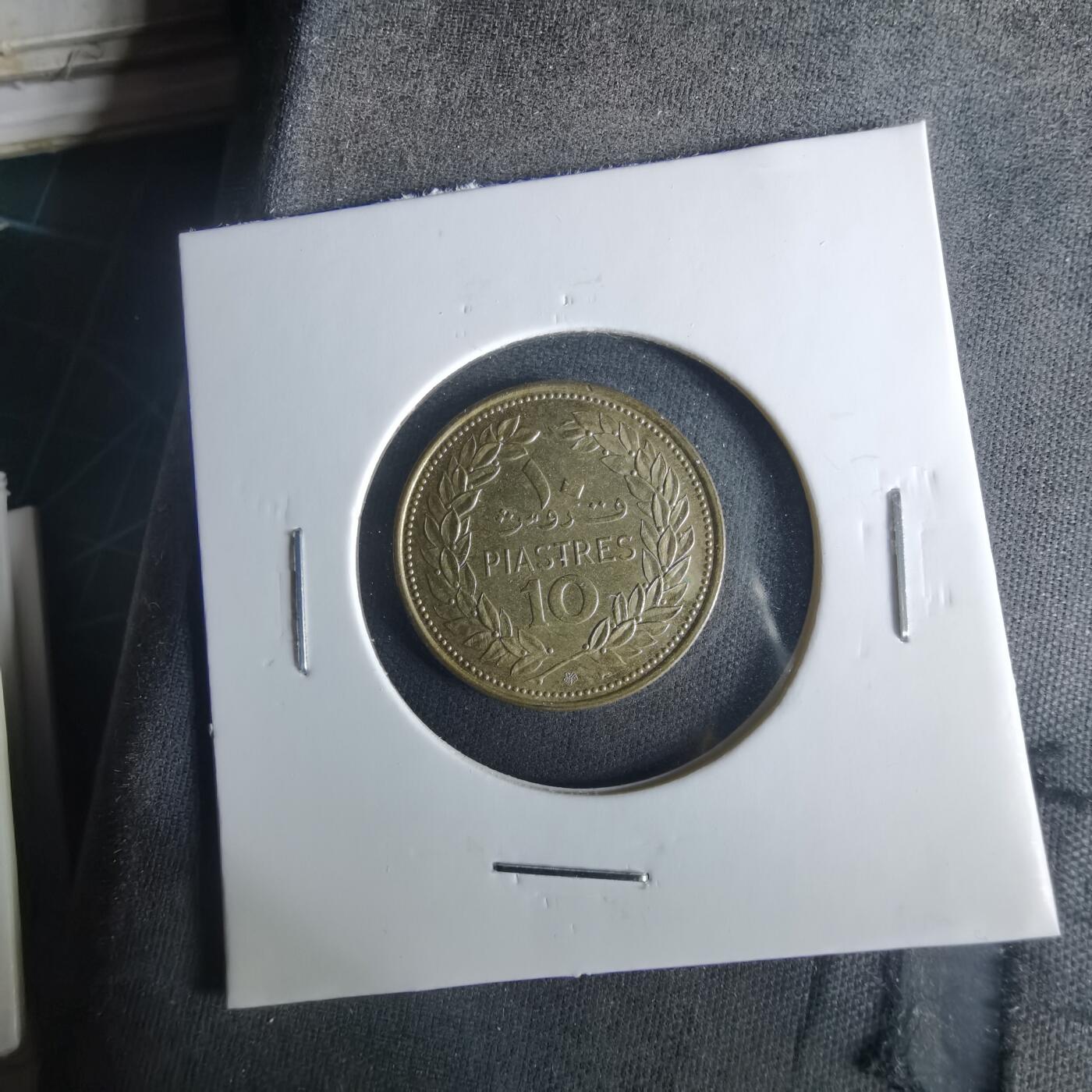 沼泽如烟--第1033场