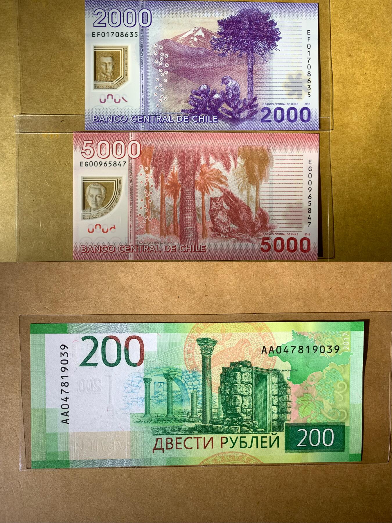 【礼羽收藏】🌏世界钱币拍卖129期