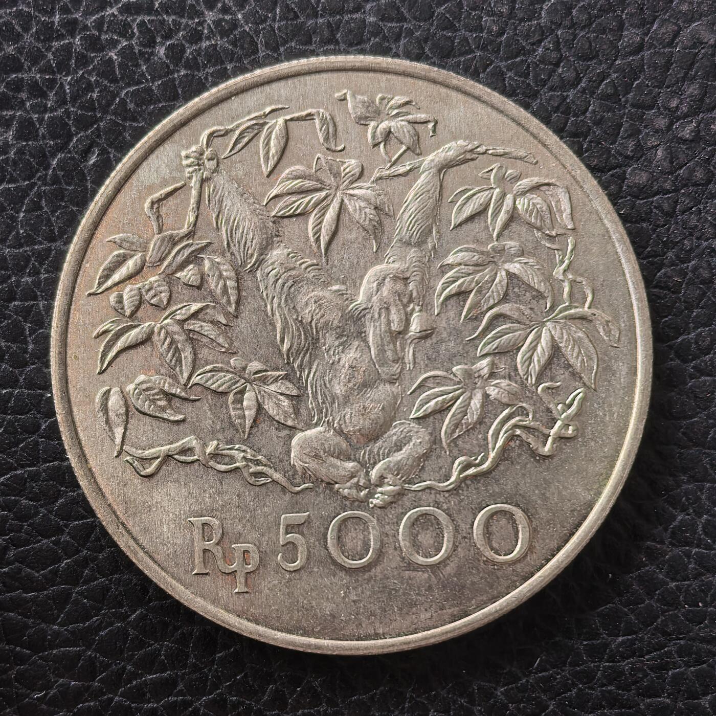 道一币馆币章第一百七十一场 印度尼西亚1974年野生动物保护-大猩猩5000卢比纪念银币  500S 32g 43000