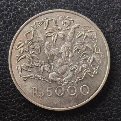 道一币馆币章第一百七十一场 - 印度尼西亚1974年野生动物保护-大猩猩5000卢比纪念银币  500S 32g 43000