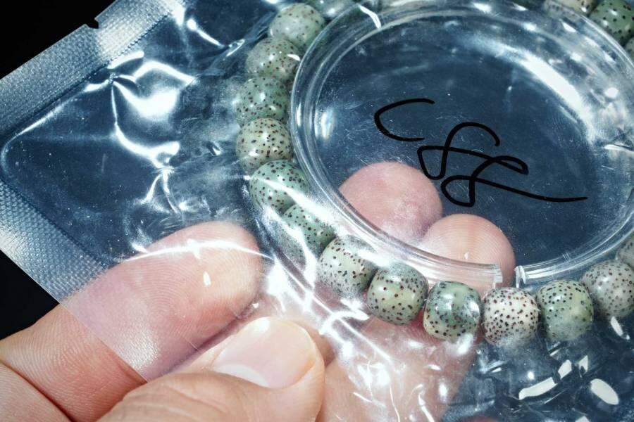 上海都达杂项专场五十八【全场包邮】  星月菩提老型珠手串93-232