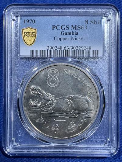 《竞宝斋》第473场 周日，周一 2场连拍 （全场包邮）欢迎送拍 - PCGS MS63 英属冈比亚1970年大河马8先令