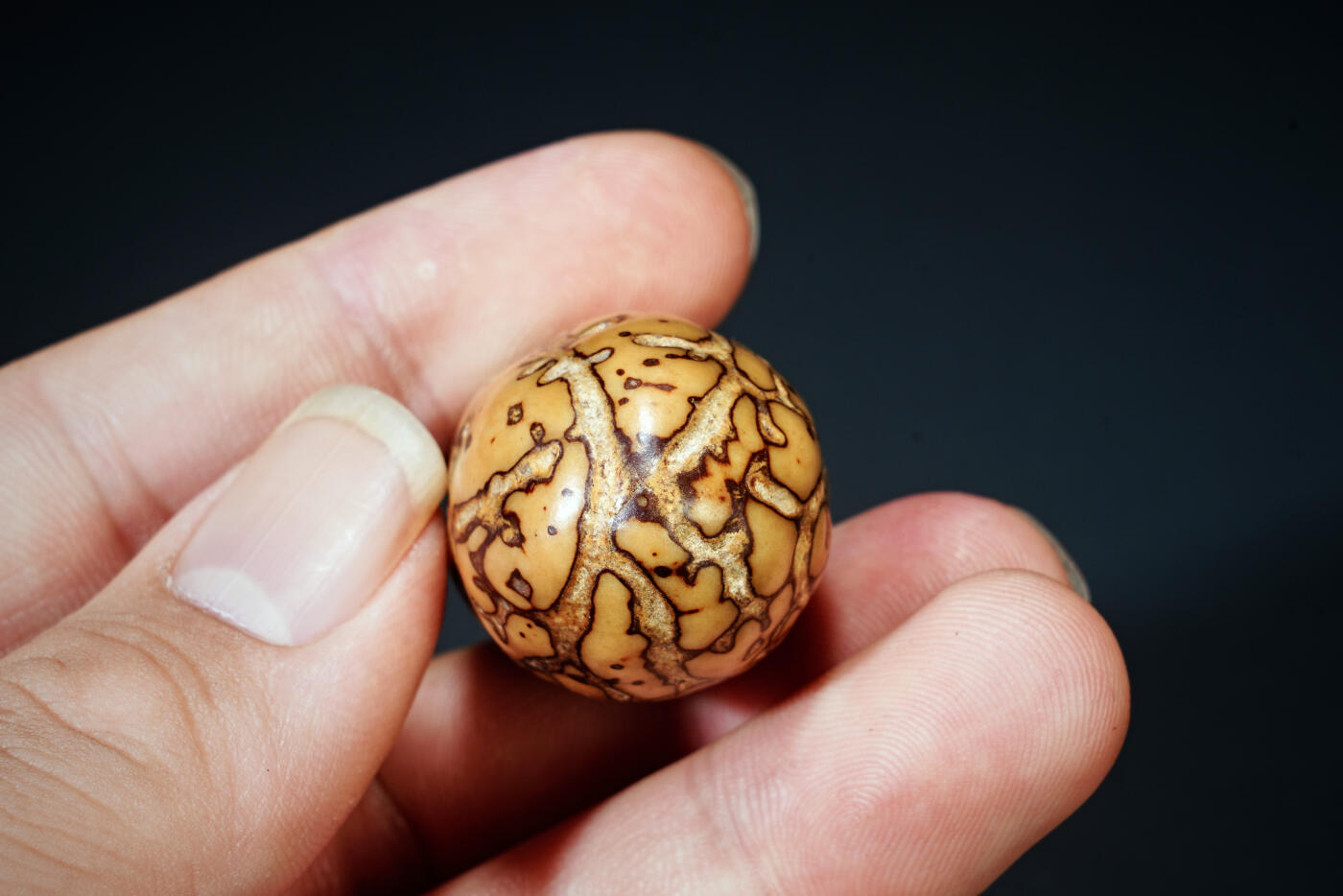 上海都达杂项专场五十八【全场包邮】  千眼菩提钥匙挂93-88