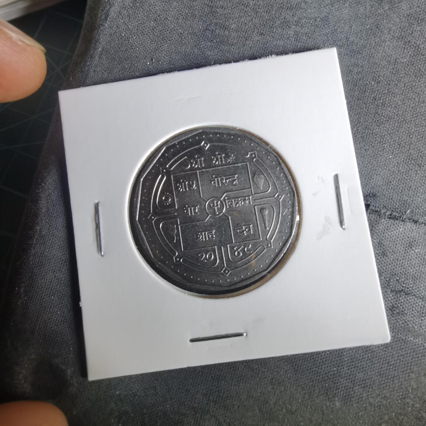 沼泽如烟--第1033场