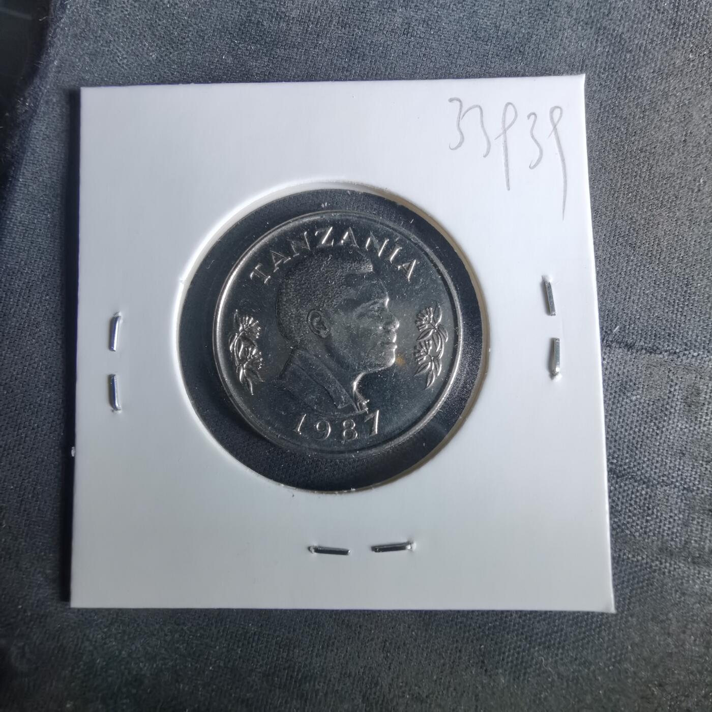 沼泽如烟--第1033场